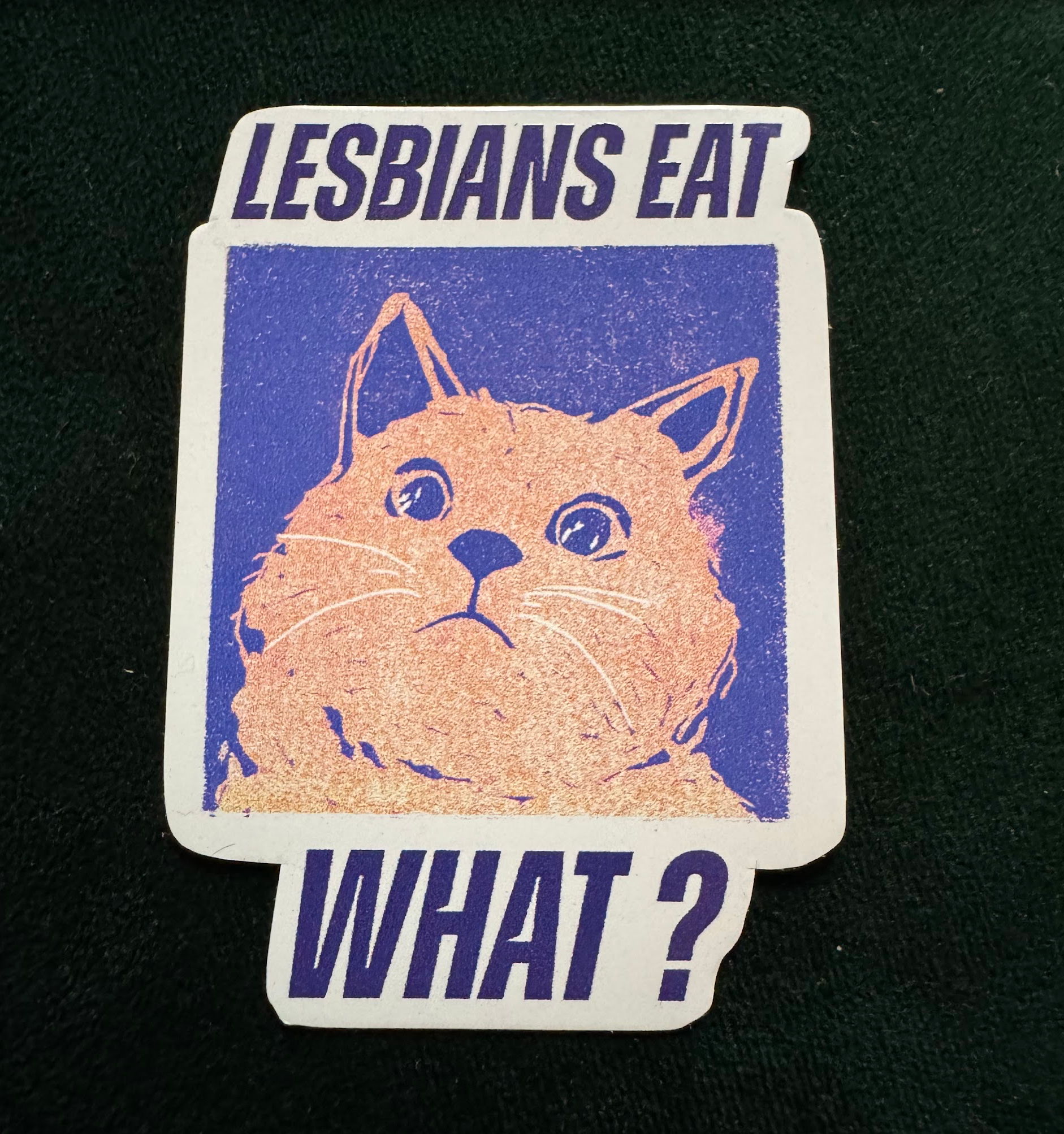 "Lesbians eat WHAT" - Sticker